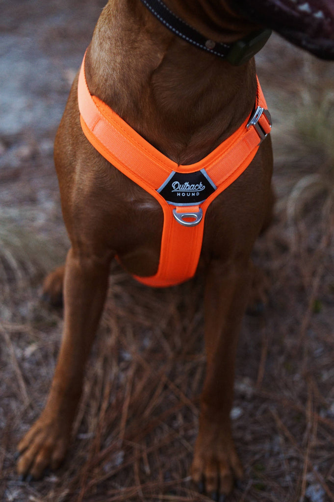 Outback Hound Ultra Lite Comfort Harness - Hunter Orange - The Dog Shop
