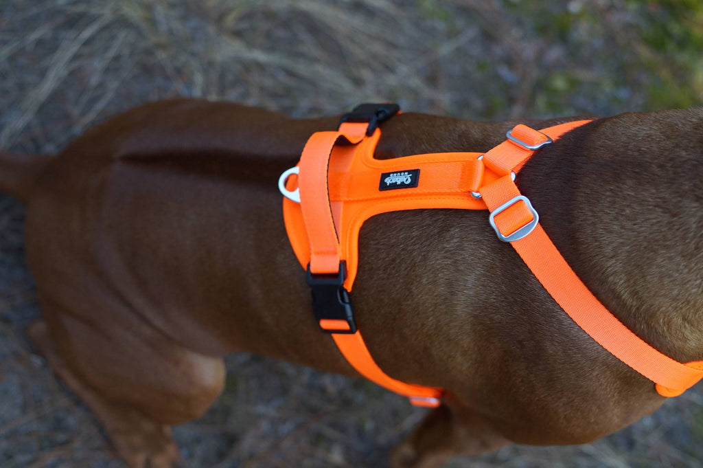 Outback Hound Ultra Lite Comfort Harness - Hunter Orange - The Dog Shop