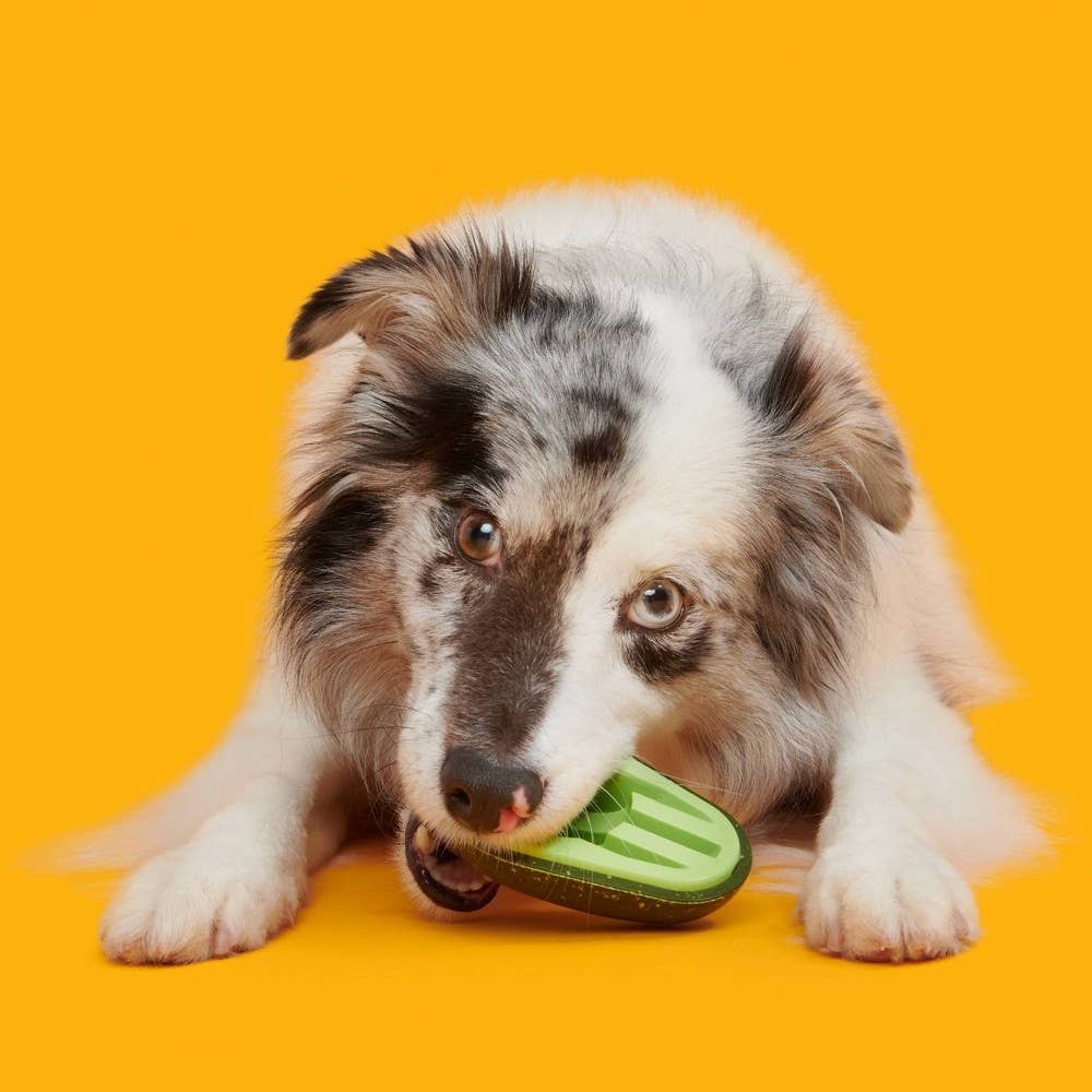 BARK Avocadoggo Super Chewer Dog Toy - The Dog Shop