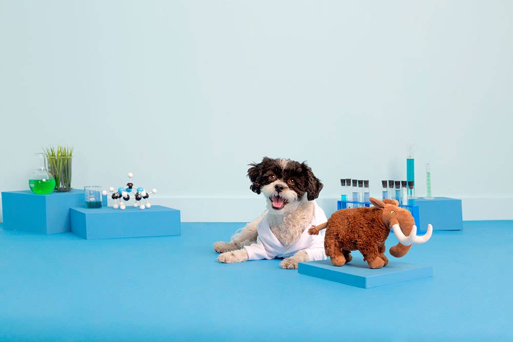 BARK Winston The Wooly Mammouth - The Dog Shop