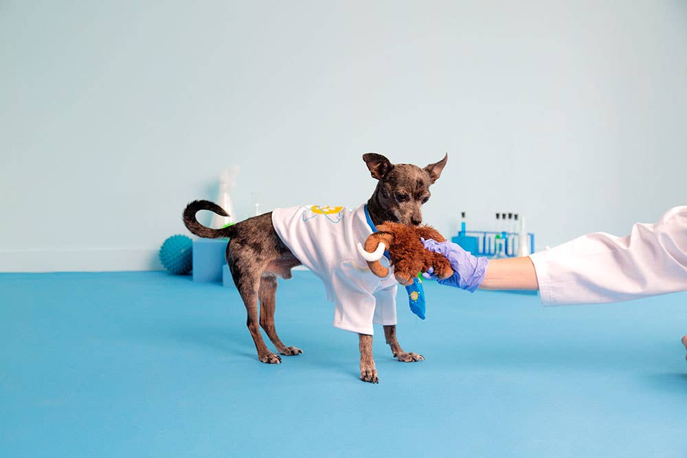 BARK Winston The Wooly Mammouth - The Dog Shop