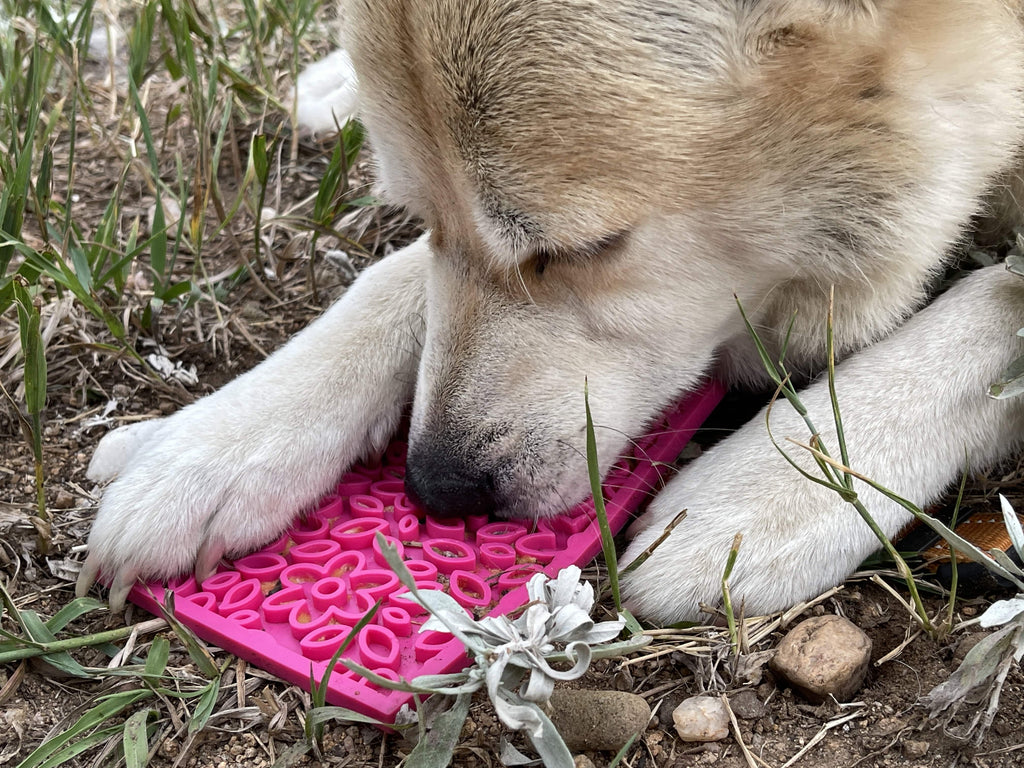 SodaPup eMat Enrichment Lick Mat - Flower Power Large - The Dog Shop
