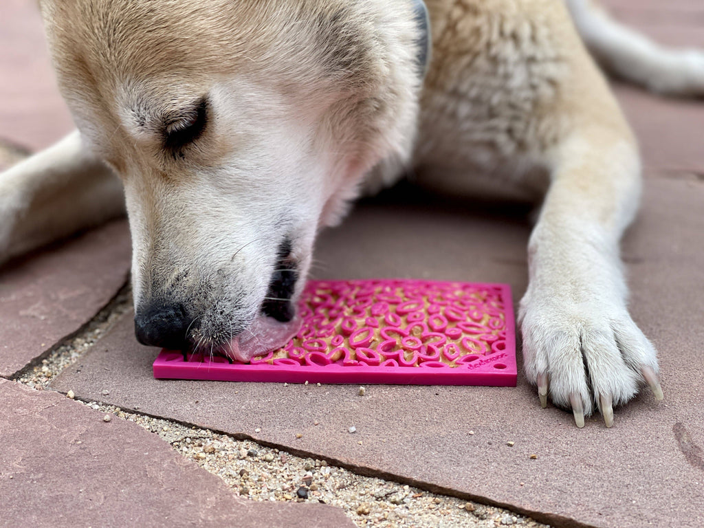 SodaPup eMat Enrichment Lick Mat - Flower Power Large - The Dog Shop