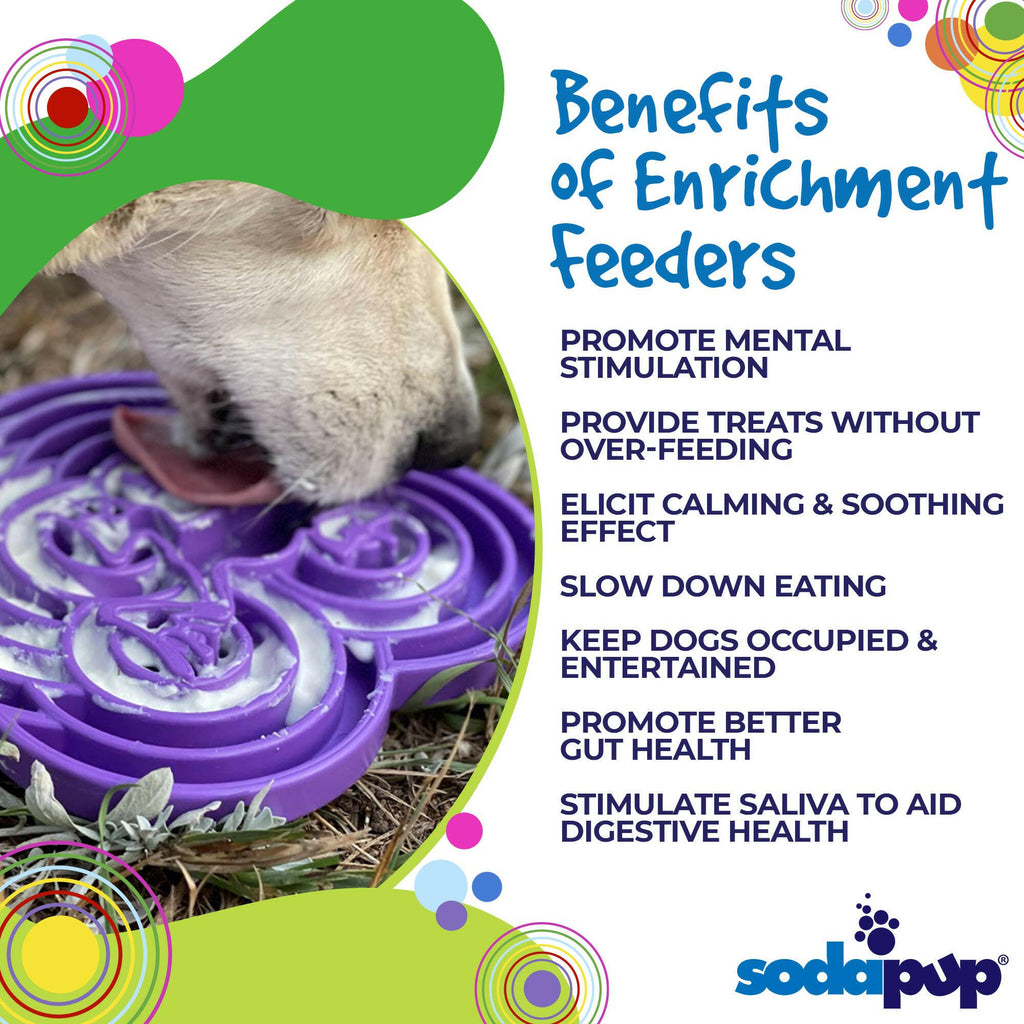 SodaPup Water Frog Enrichment Tray for Dogs - Purple - The Dog Shop