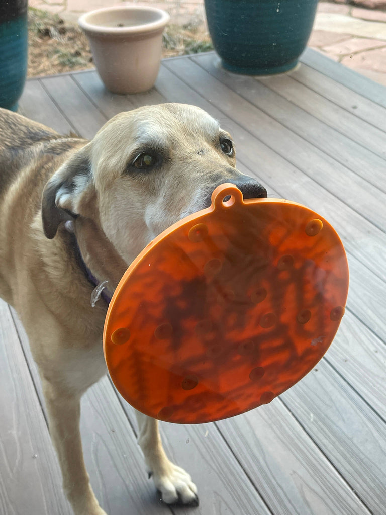 SodaPup Enrichment Lick Mat With Suction Cups - Camp - The Dog Shop