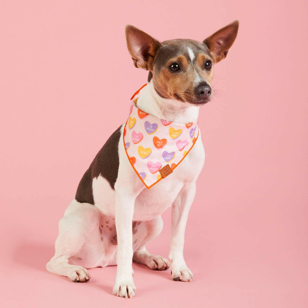 The Foggy Dog Bandana - Candy Hearts - The Dog Shop