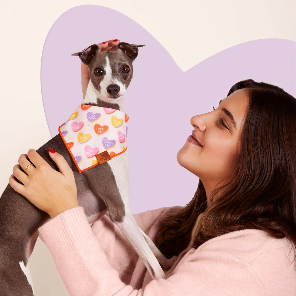 The Foggy Dog Bandana - Candy Hearts - The Dog Shop