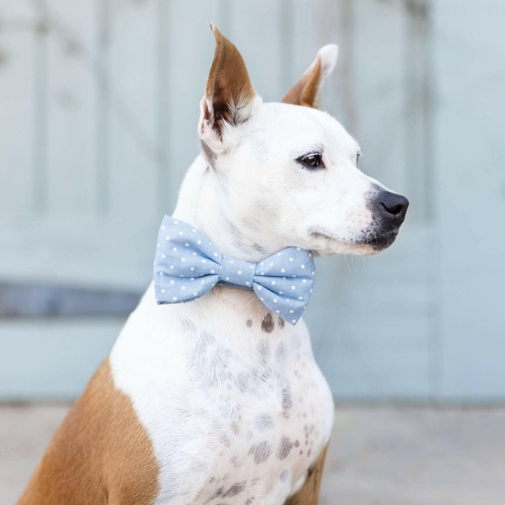 The Foggy Dog Bow Tie - Chambray Dots - The Dog Shop