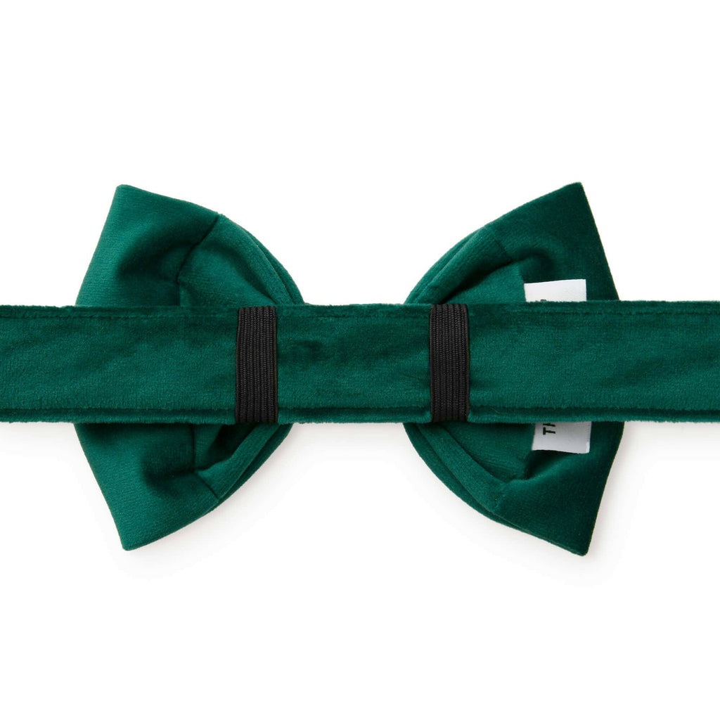 The Foggy Dog Bow Tie - Forest Green Velvet - The Dog Shop