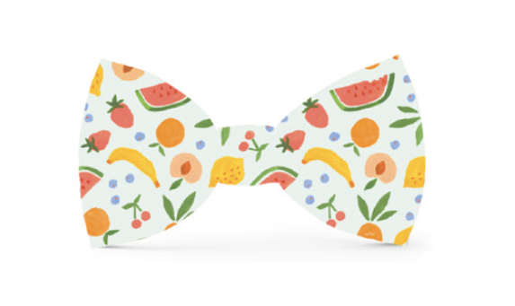 The Foggy Dog Bow Tie - Fruit Salad - The Dog Shop