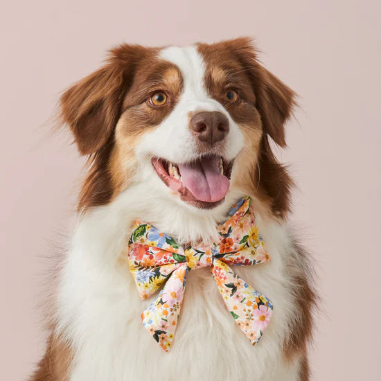 The Foggy Dog Lady Bow - Rifle Paper Co. x TFD Marguerite - The Dog Shop