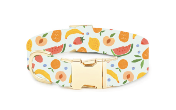 The Foggy Dog Collar - Fruit Salad - The Dog Shop