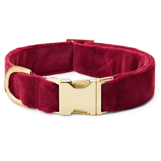The Foggy Dog Collar - Burgundy Velvet - The Dog Shop