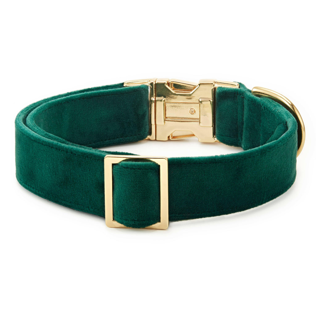 The Foggy Dog Collar - Forest Green Velvet - The Dog Shop