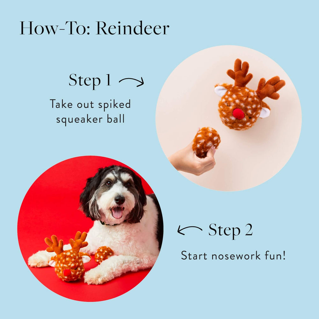 The Foggy Dog Reindeer 2-in-1 Bounce Dog Toy - The Dog Shop