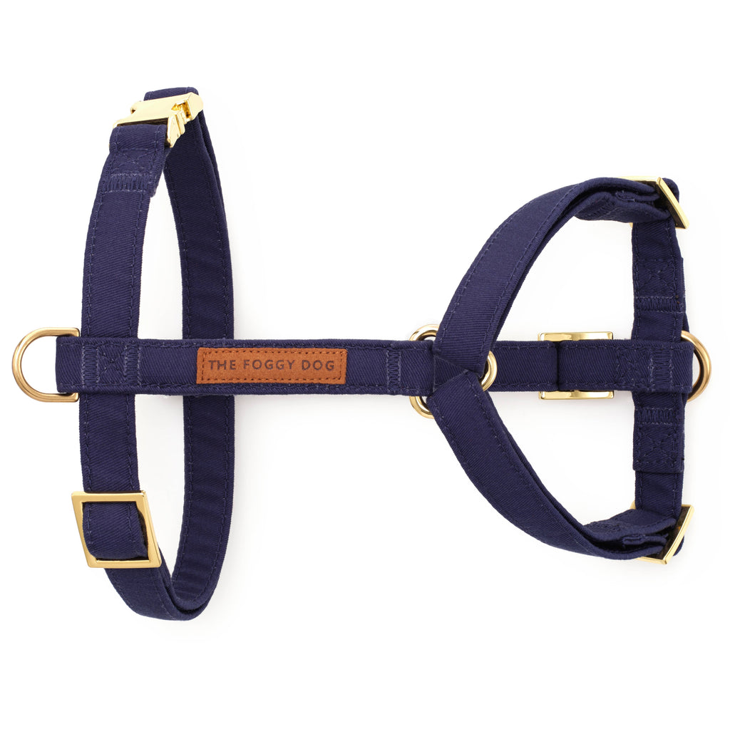 The Foggy Dog Harness - Ocean - The Dog Shop