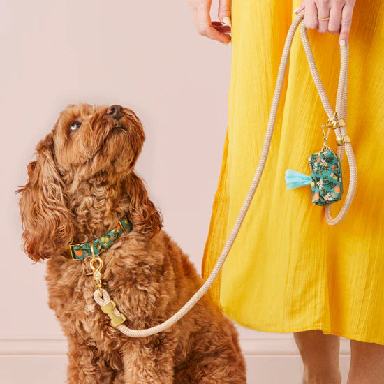 The Foggy Dog Marine Rope Dog Leash - Flax - The Dog Shop