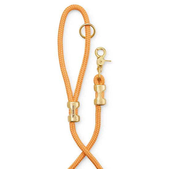 The Foggy Dog Marine Rope Dog Leash - Goldenrod - The Dog Shop