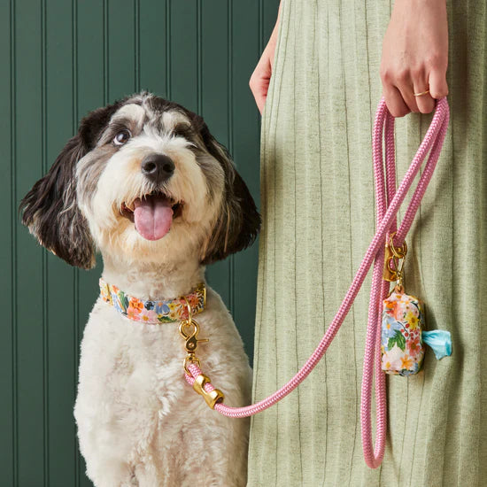 The Foggy Dog Marine Rope Dog Leash - Orchid - The Dog Shop