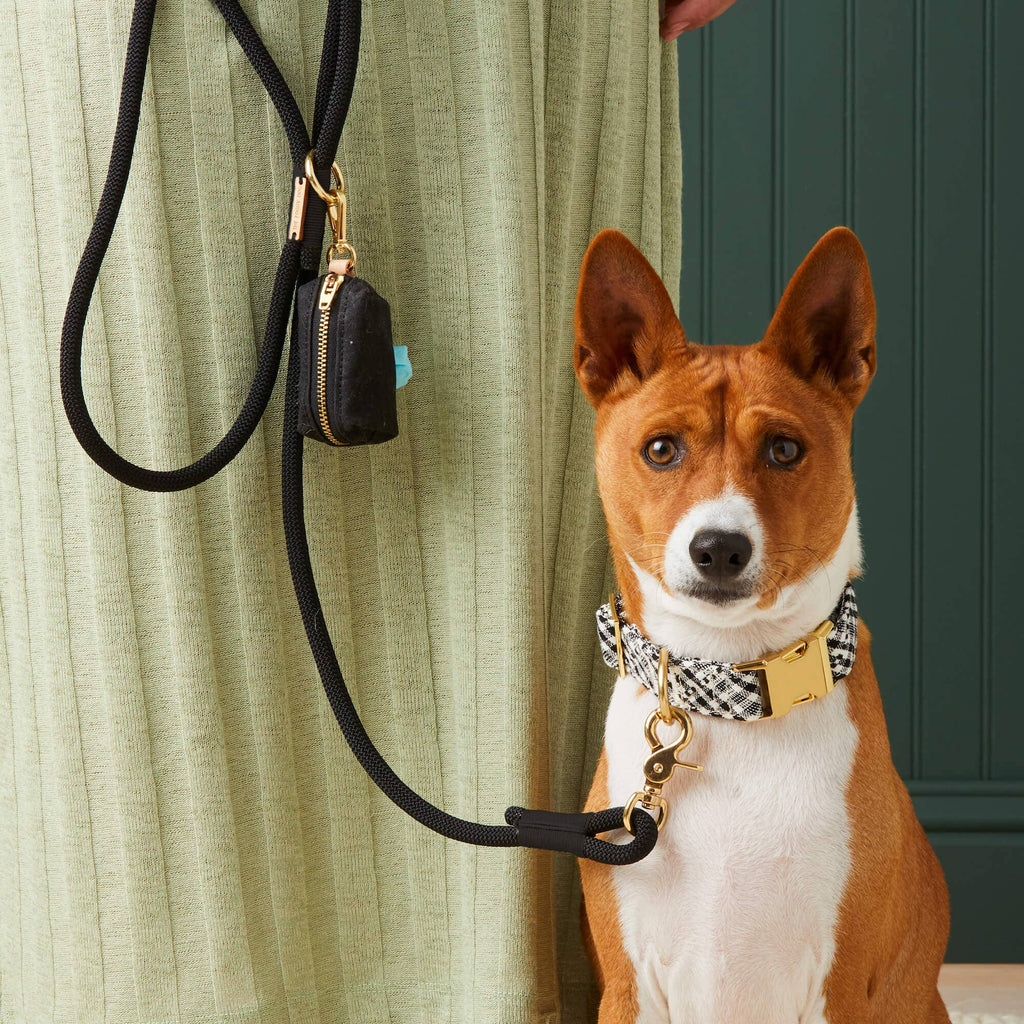 The Foggy Dog Climbing Rope Leash - Black - The Dog Shop