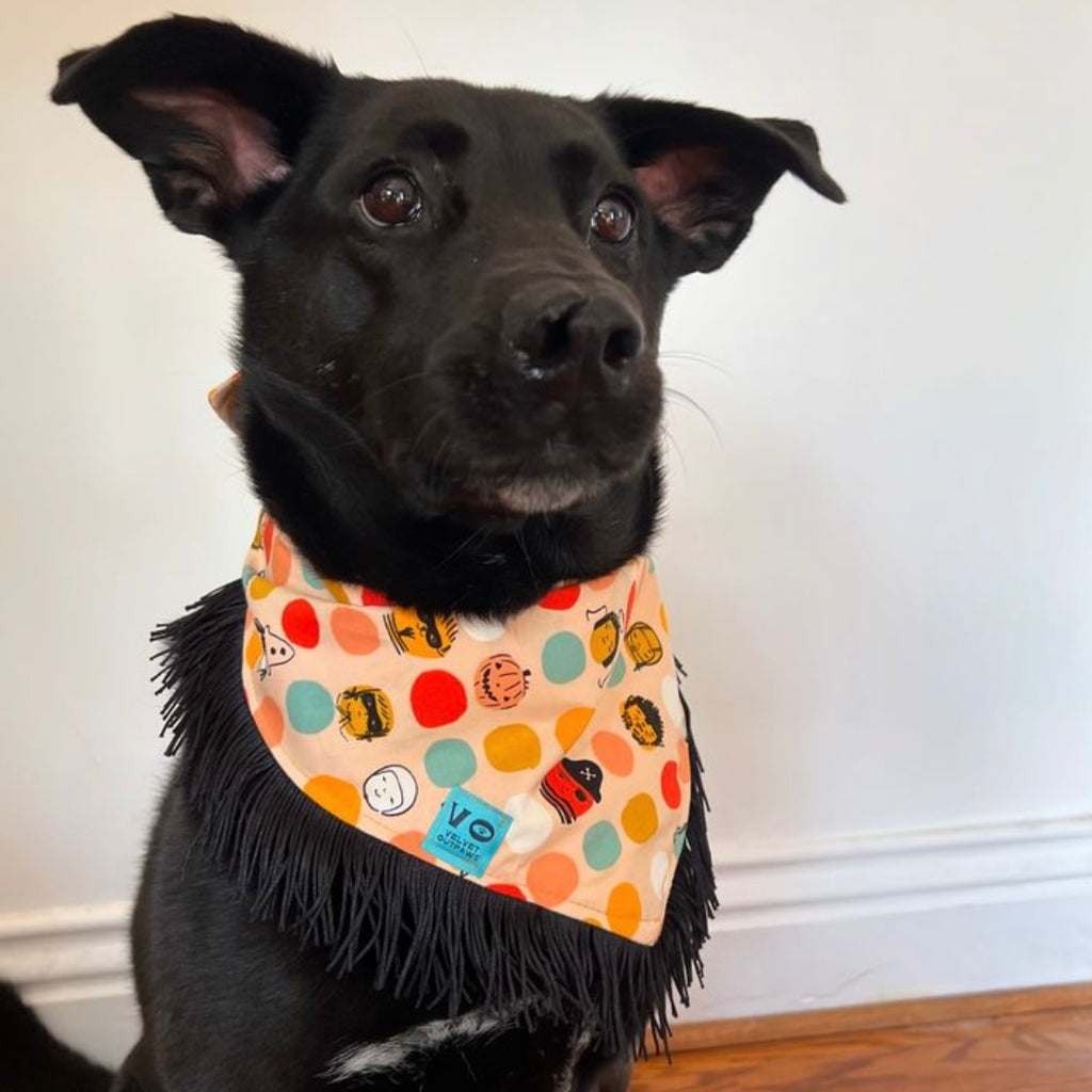 Velvet Outpaws Fringe Bandana- Halloween Monster - The Dog Shop