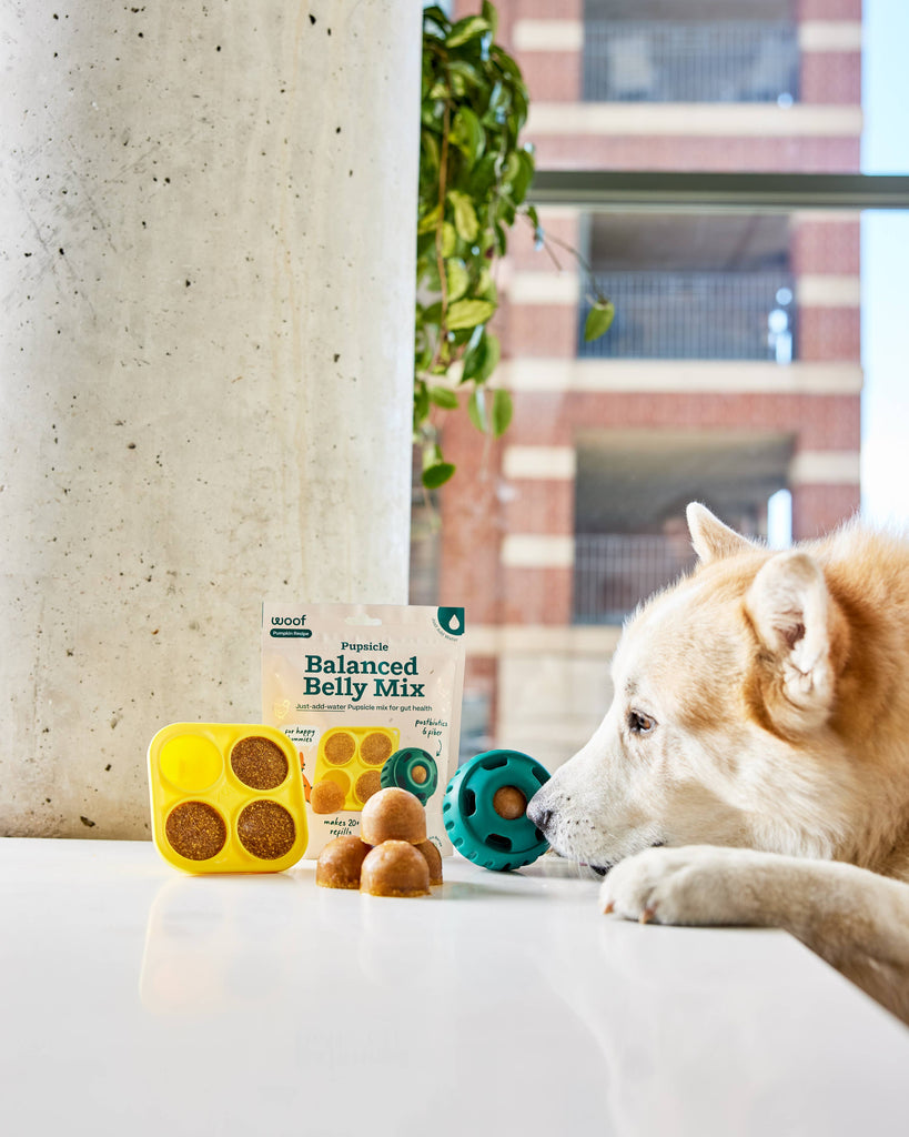 Woof Pupsicle Treat Mix - Balanced Belly - The Dog Shop