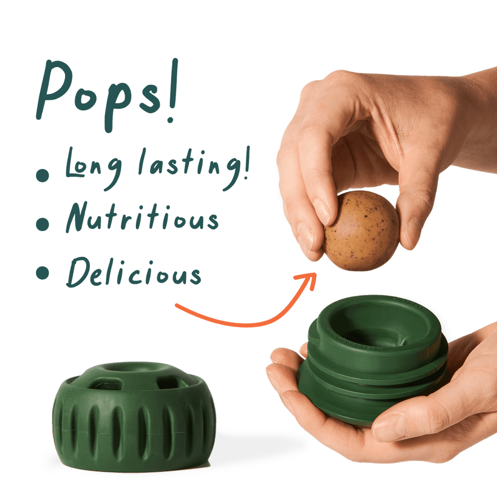 Woof Pupsicle Pops: Chicken - The Dog Shop