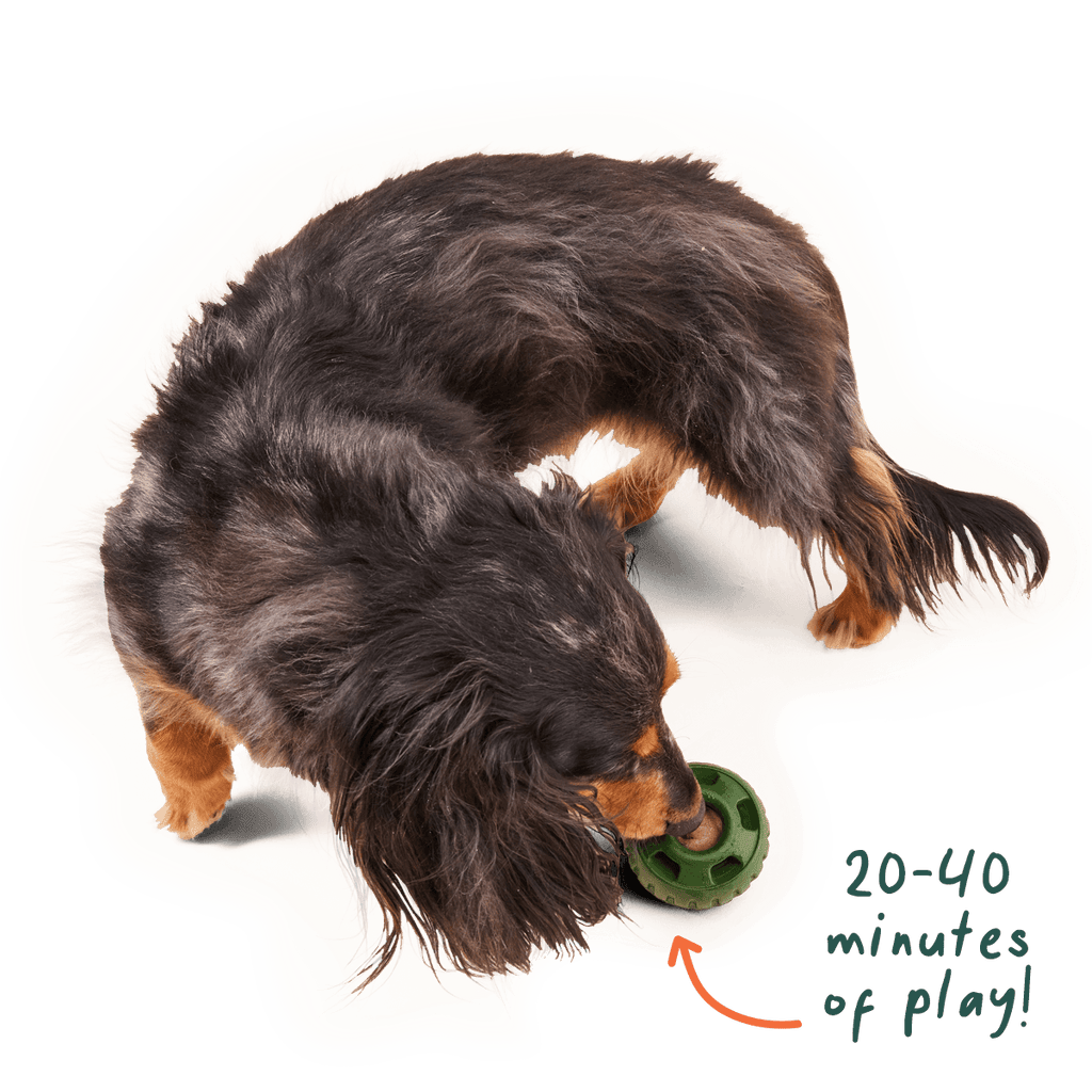 Woof Pupsicle Pops: Chicken - The Dog Shop