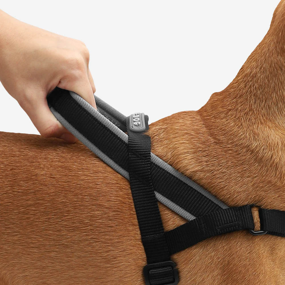 Zee.Dog SofterWalk Harness - Gotham - The Dog Shop