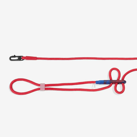 Zee.Dog x Marvel Hands-Free Dog Leash - Spiderman - The Dog Shop