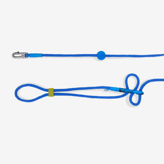Zee.Dog x Marvel Hands-Free Dog Leash - The Beast - The Dog Shop