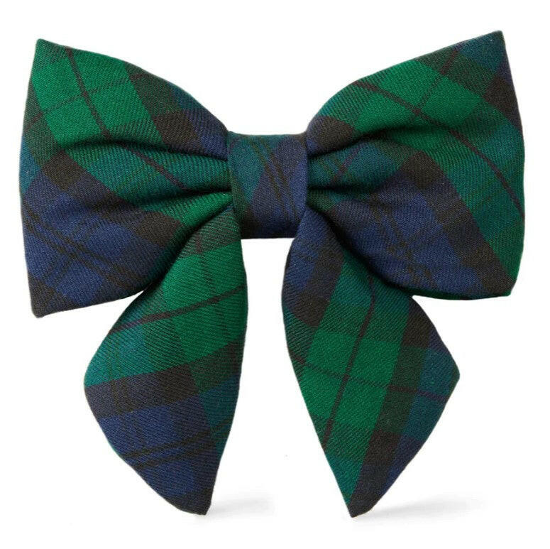 traditional black watch plaid dog lady bow predominantly green and blue in color