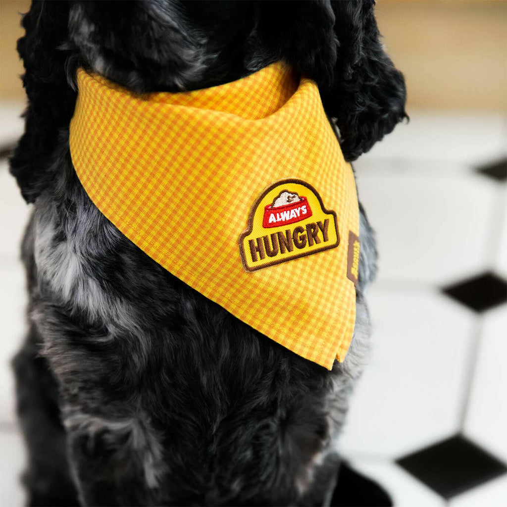 Always Hungry iron-on patch for dogs - The Dog Shop