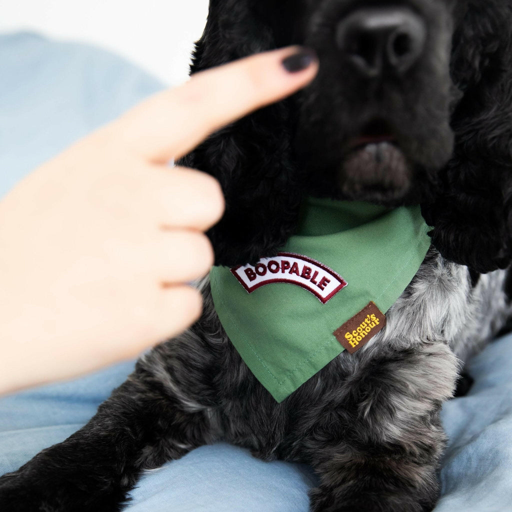 Boopable iron-on patch for dogs - The Dog Shop