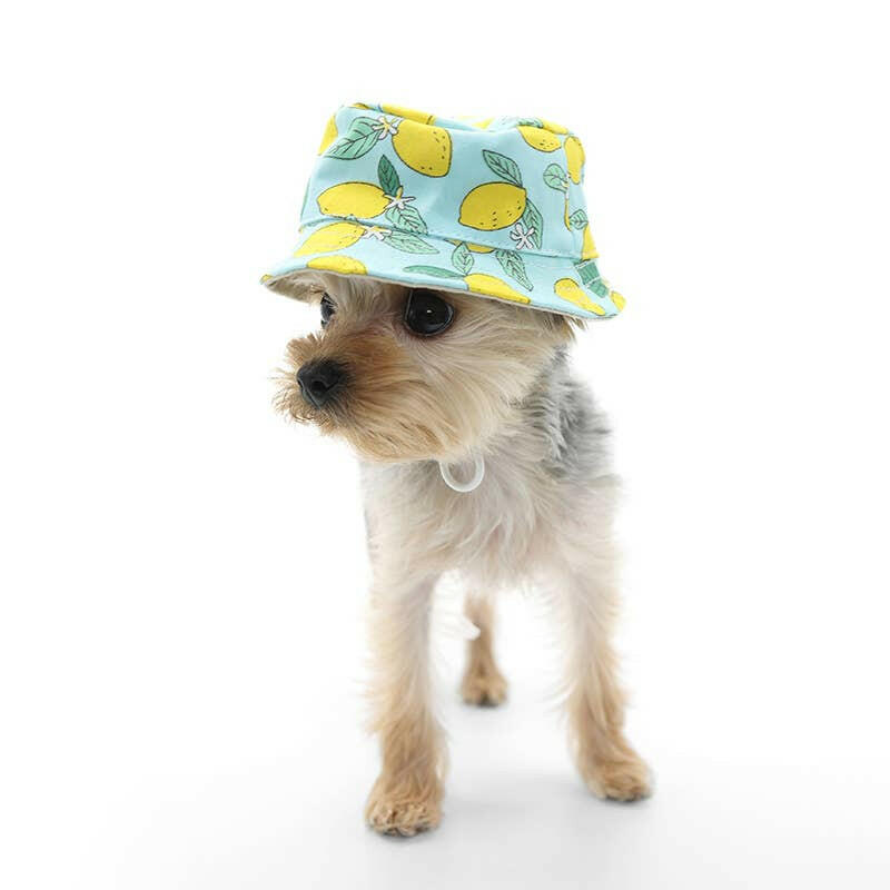 Bucket Hat - Lemon Blue - The Dog Shop