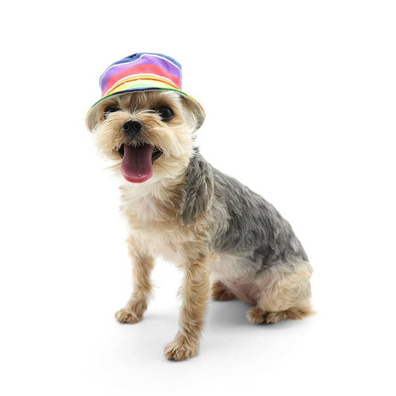Bucket Hat - Rainbow - The Dog Shop