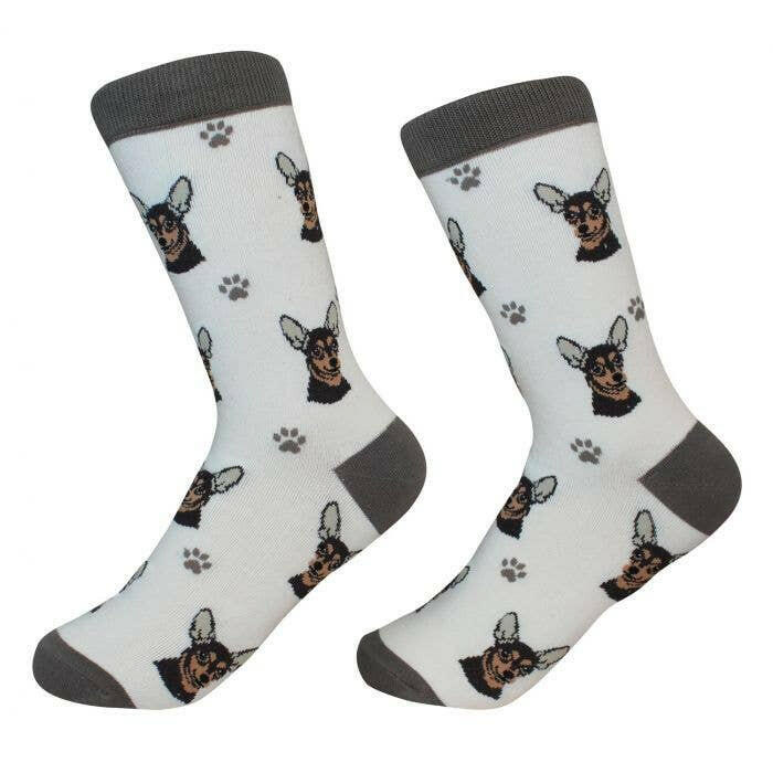 Chihuahua Black Socks - The Dog Shop