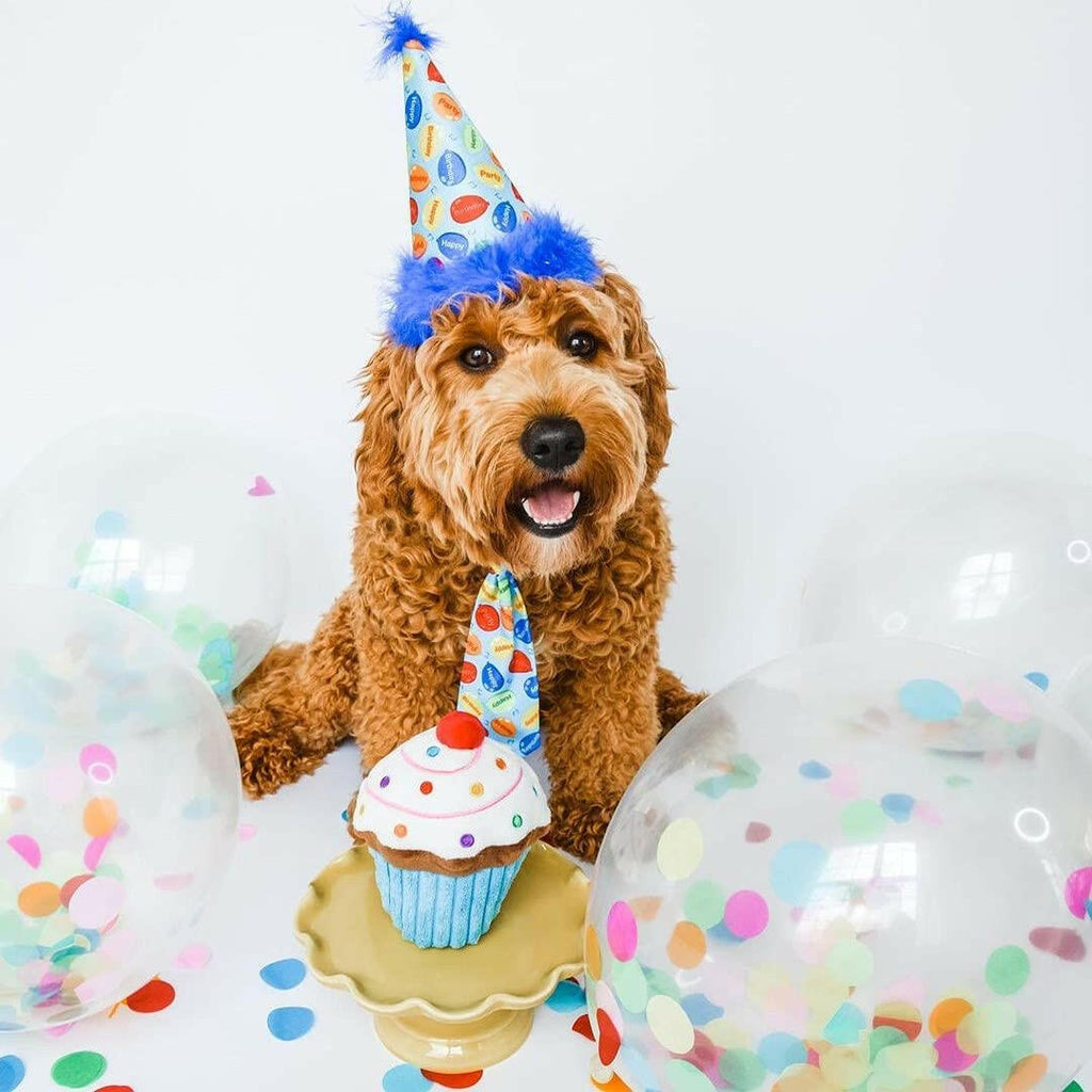 Dog Party Hat-Party Time Blue - The Dog Shop
