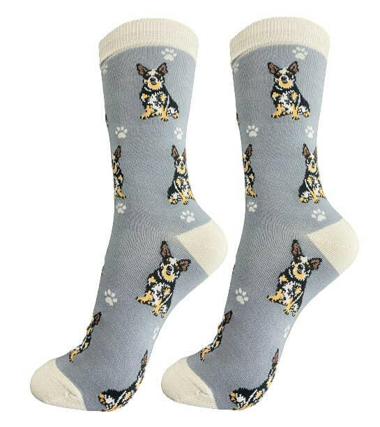 Australian Cattle Dog Socks-Full Body - The Dog Shop