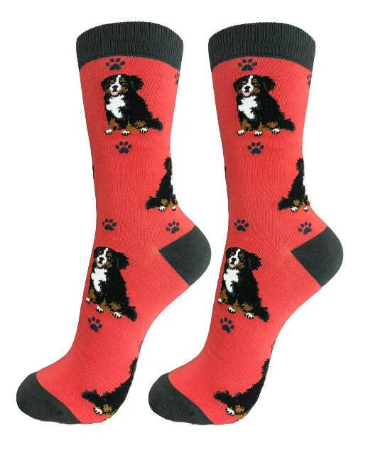 Bernese Mt. Dog Socks-Full Body - The Dog Shop