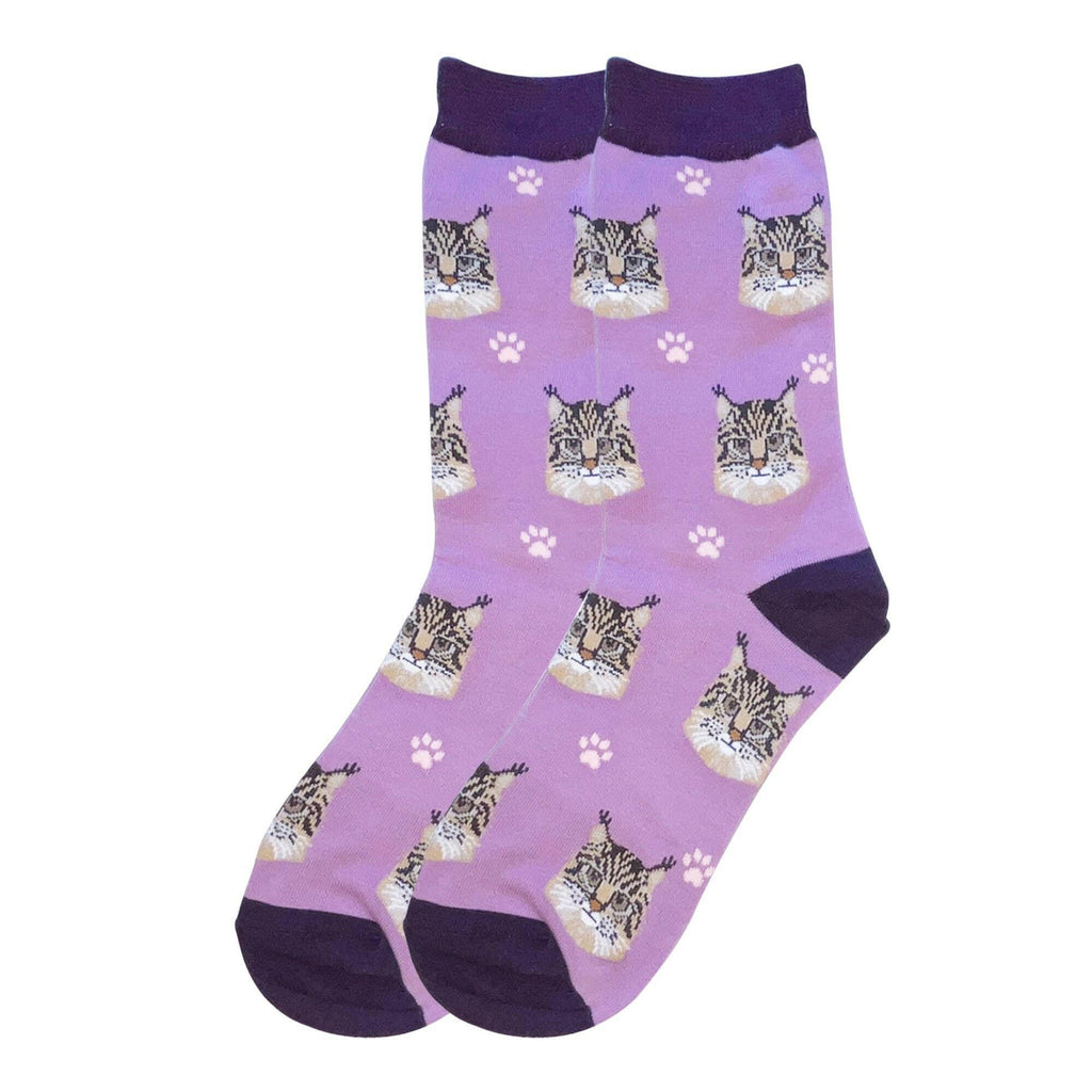 Cat Socks-Maine Coon - The Dog Shop