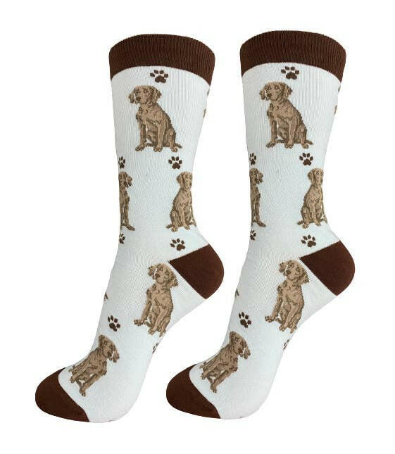 Weimaraner Socks-Full Body - The Dog Shop