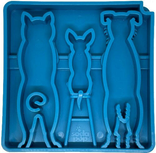 Enrichment Tray- Dogs - The Dog Shop