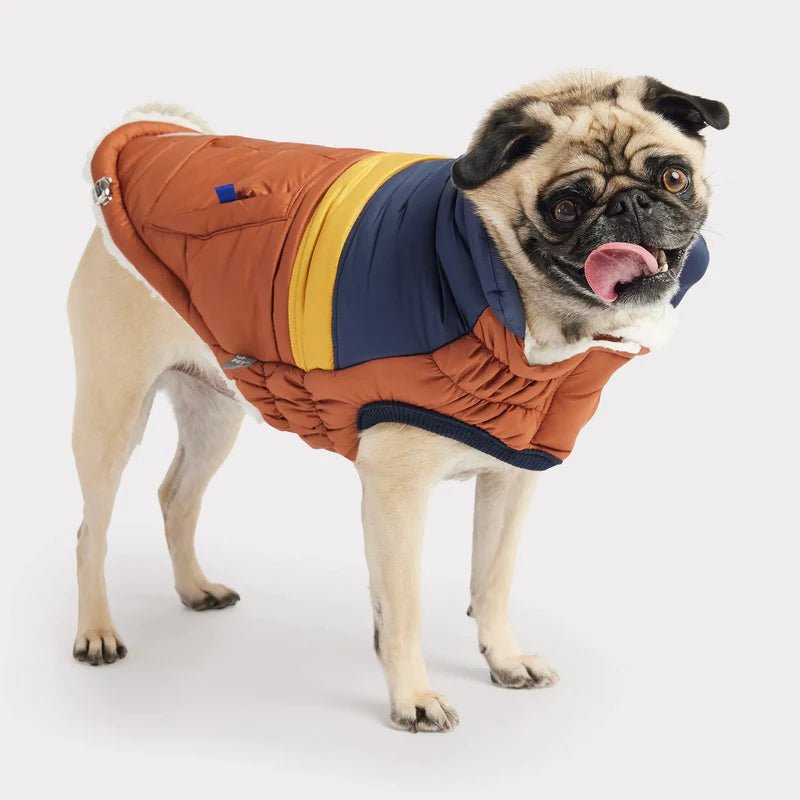 GF Pet Retro Puffer Dog Jacket-Hazel - The Dog Shop