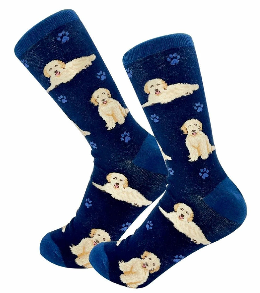Goldendoodle, Navy Socks-Full Body - The Dog Shop