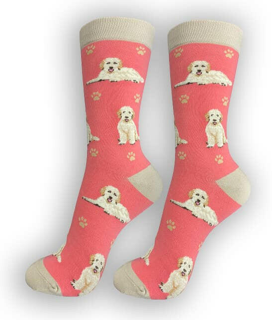 Goldendoodle, Peach Socks-Full Body - The Dog Shop