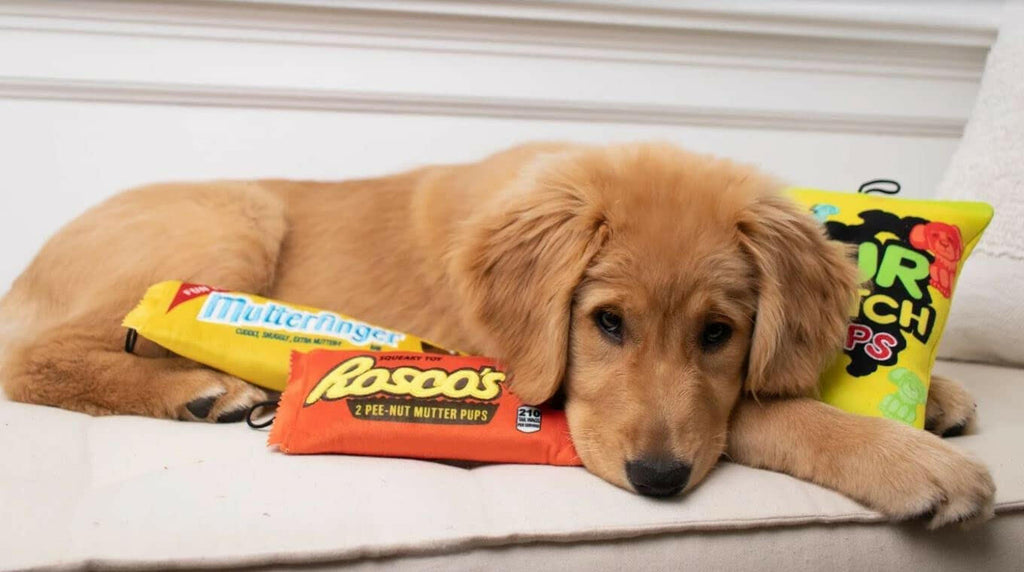 Mutterfinger Dog Toy - The Dog Shop