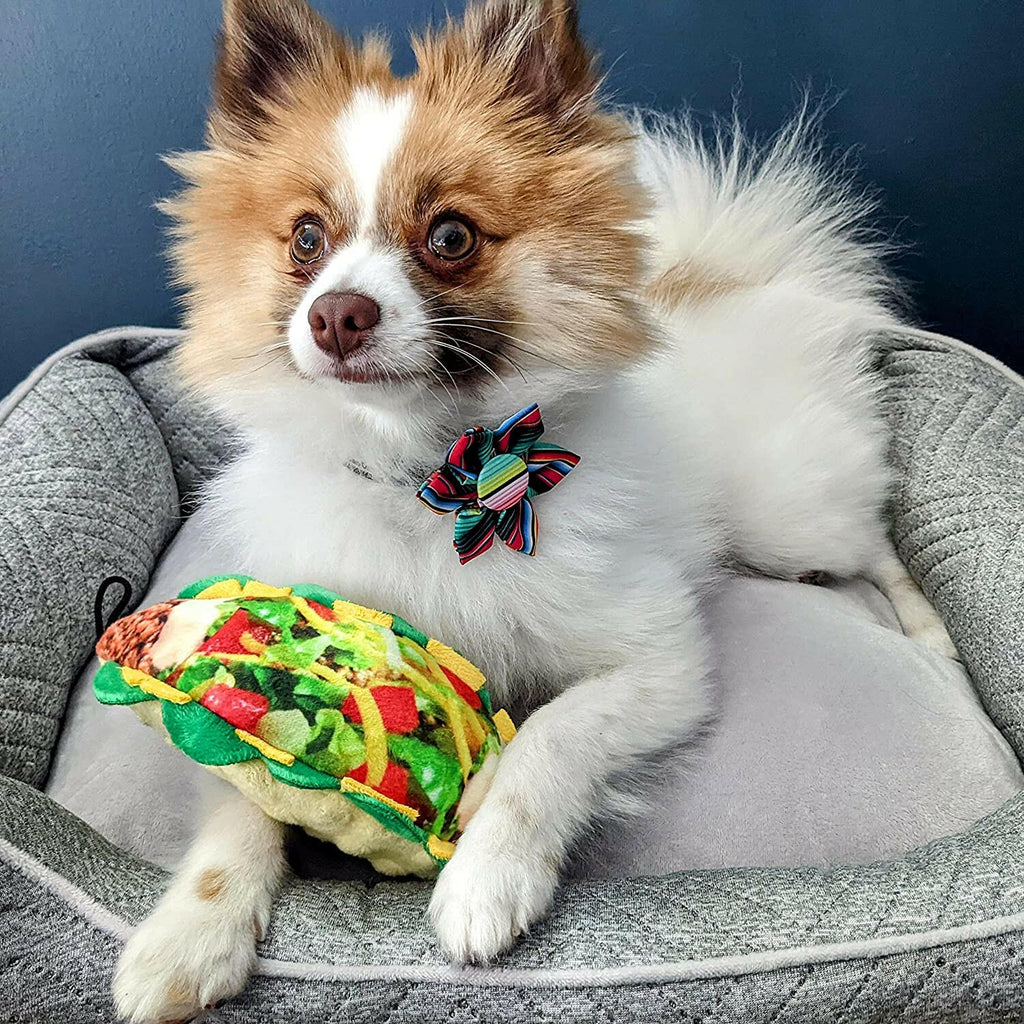 Taco Tuesday Dog Toy - The Dog Shop