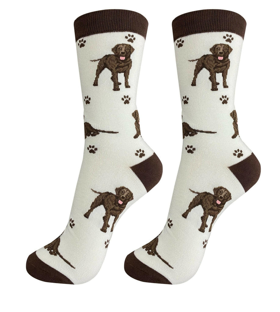 Labrador Chocolate Sock-Full Body - The Dog Shop