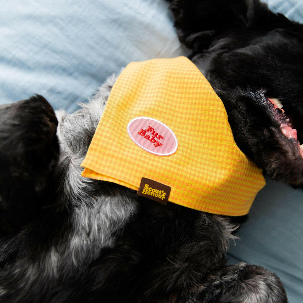 Fur Baby iron-on patch for dogs - The Dog Shop